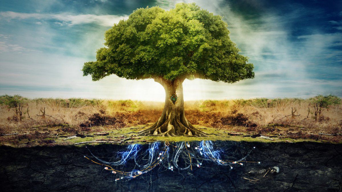 Árbol Genealógico Revelado: Desentrañando los Secretos de tu Historia Familiar